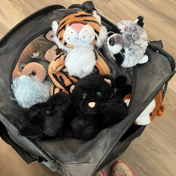 Webkinz Collection - Without Codes - Picture 3 of 8